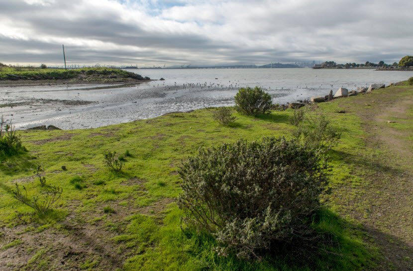 McLaughlin Eastshore State Park State Seashore, California, USA